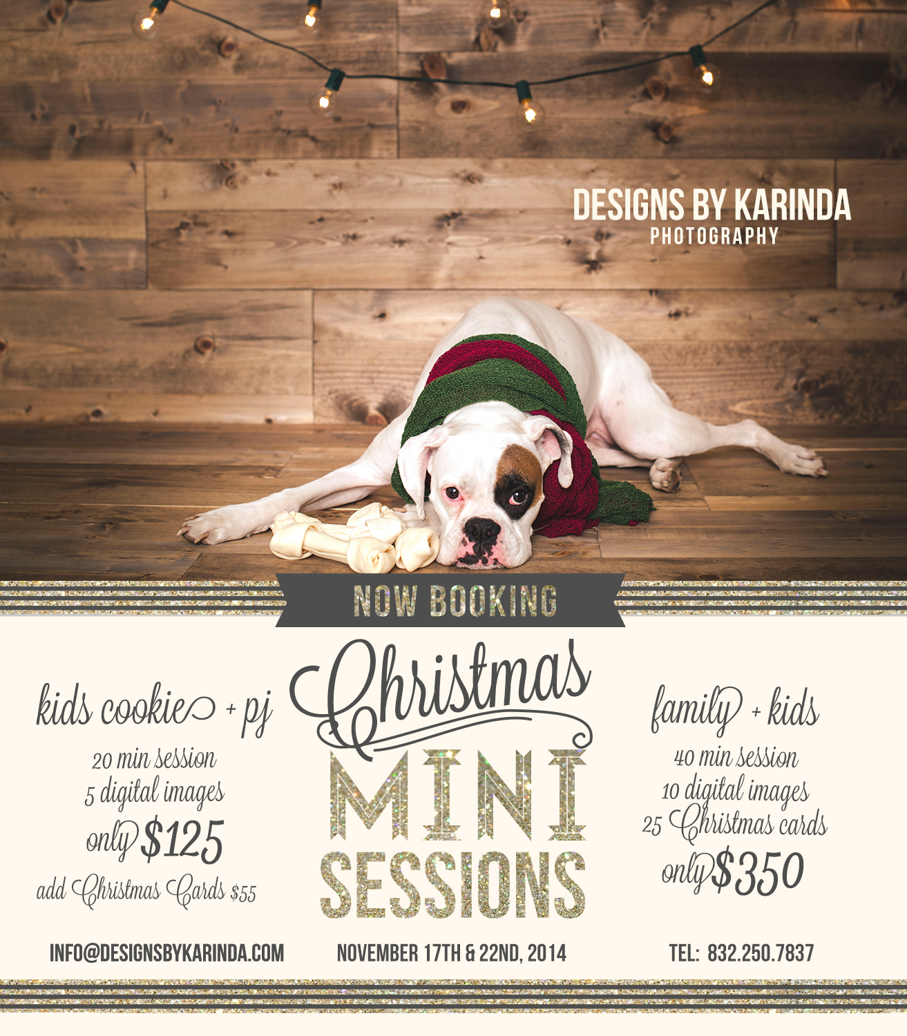 Christmas Mini Session Flyer