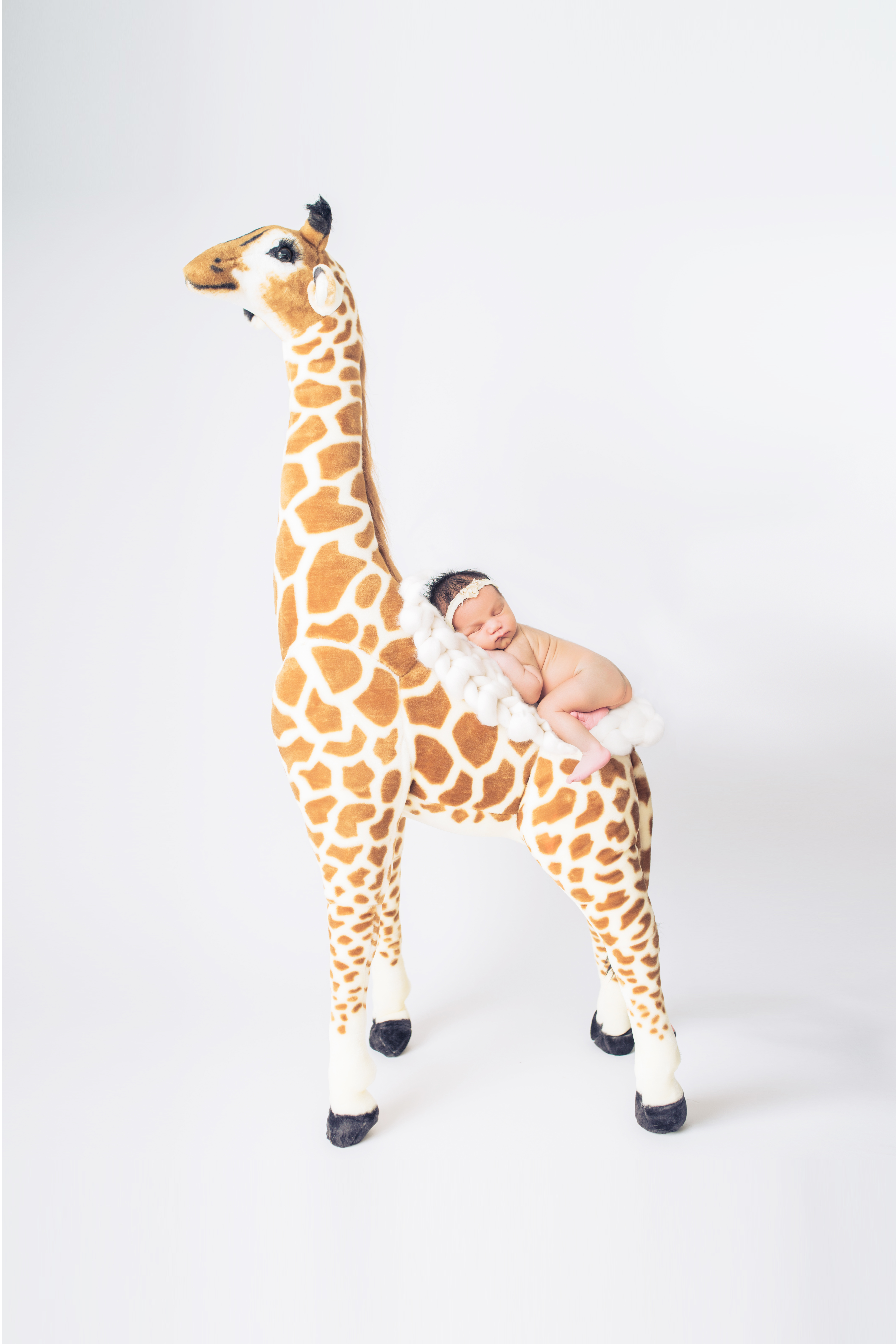 Giraffe Final